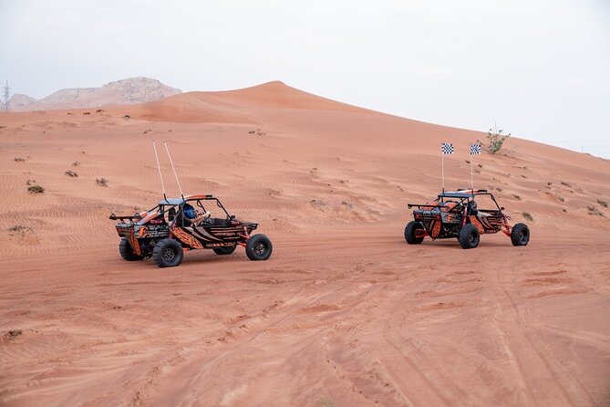 Dune Buggy Experience & Fossil Discovery in Mleiha National Park - Camels and a nature walk in Zerzura