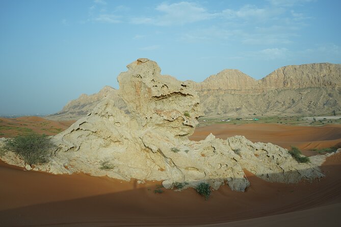 Dune Buggy & Private Dinner in the Dunes in Mleiha National Park - Sunset, sand, and possible extra activities