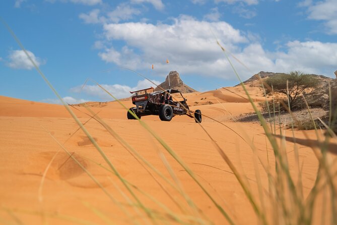 Dune Buggy & Private Dinner in the Dunes in Mleiha National Park - Price, timing, and practical value