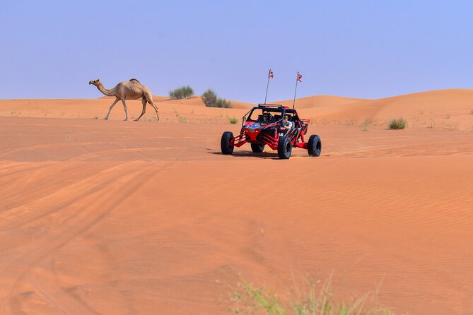 Dune Buggy Ride with Private BBQ Dinner in the Desert - Sand boarding and dune bashing add variety