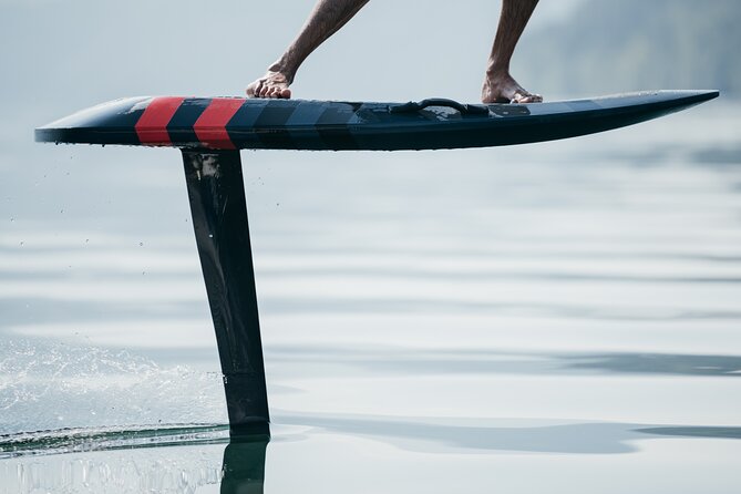 E-foil Audi in Dubai Palm Jumeirah by Water World Sports - Key Points Before You Book