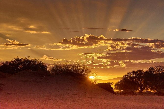 Early Morning Desert Safari With Camel Trekking Experience - Key things to know before booking
