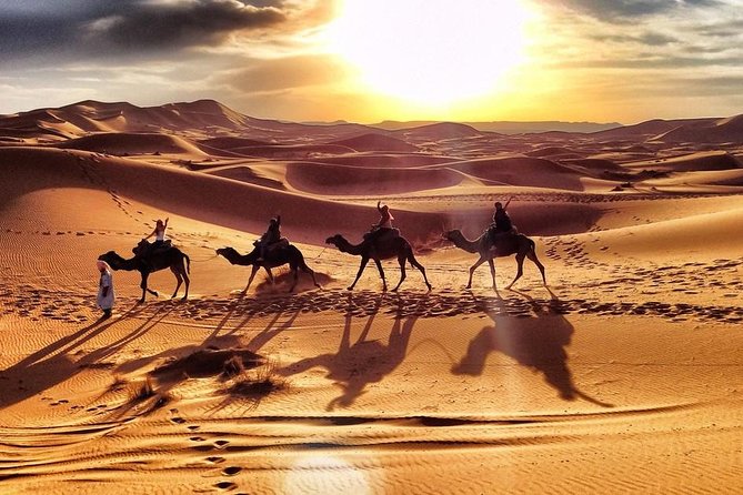 Early Morning Desert Safari With Camel Trekking Experience - Sandboarding for about 20 minutes