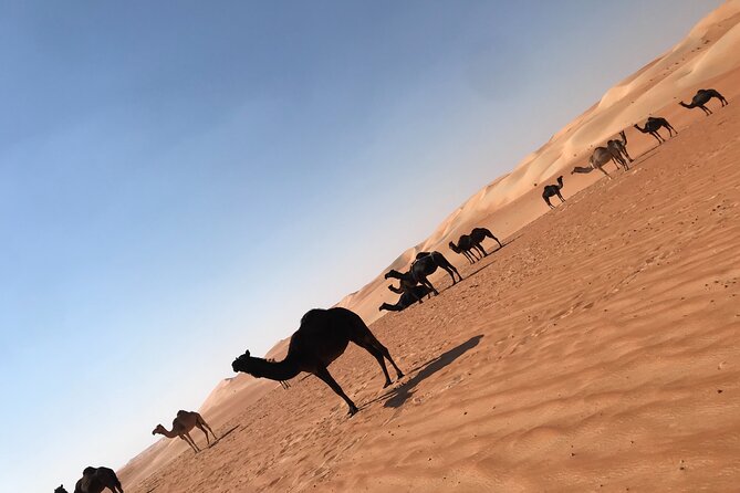 Empty Quarter Sunset Desert Safari - Why the Empty Quarter makes this a different safari
