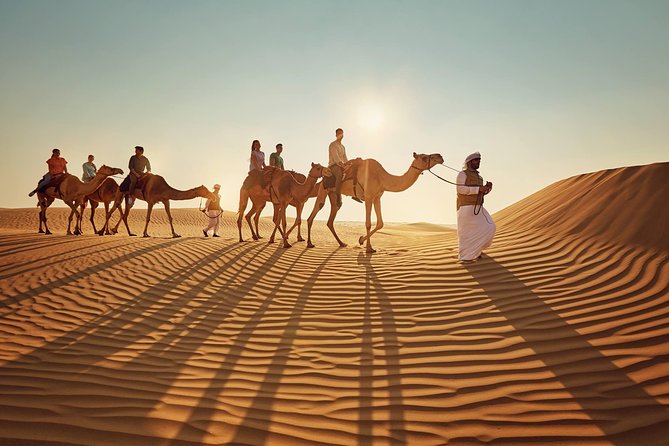 Evening Desert Safari Abu Dhabi - BBQ dinner and the nightly shows