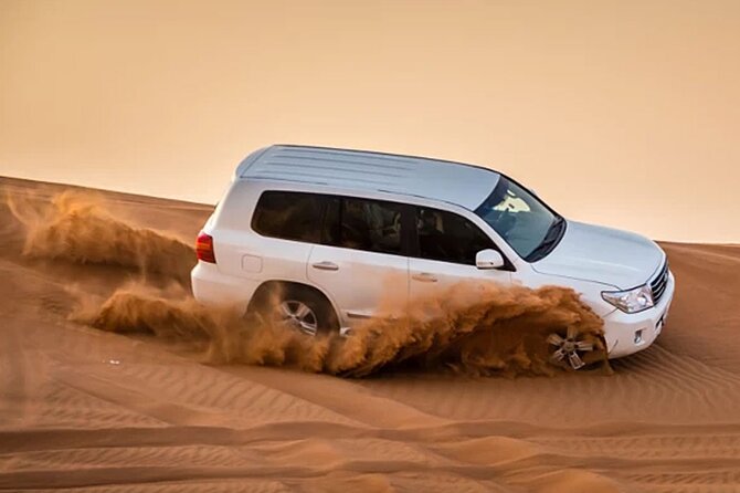 Evening Desert Safari Abu Dhabi with Hot BBQ Dinner - Key points to know before you book