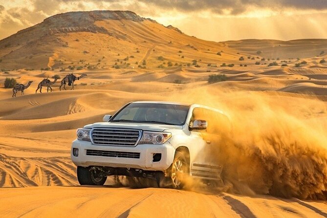 Evening Desert Safari Adventure in Dubai - Barbecue dinner, shisha, and three shows