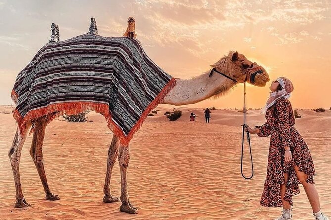 Evening Desert Safari & BBQ With Live Shows,Camel Ride,Falcon pic - BBQ dinner and drinks add practical value