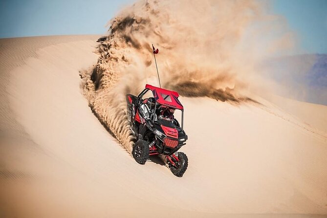 Evening Desert Safari Camel Ride Live Shows Shisha Dinner - Guides Can Shape the Whole Evening