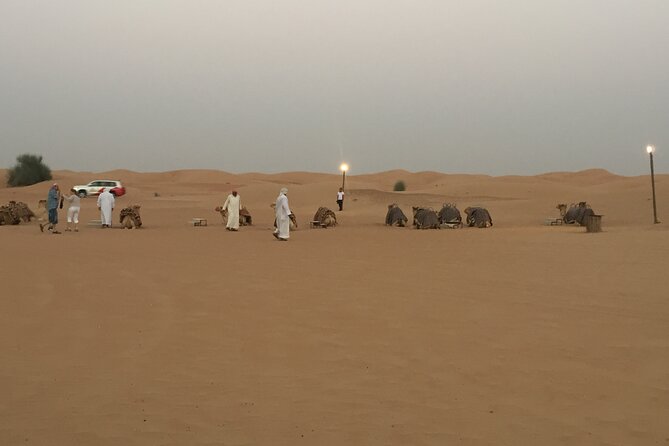 Evening Desert Safari Tour With Live Enterterment And BBQ Dinner - A useful pause for sunset photographs
