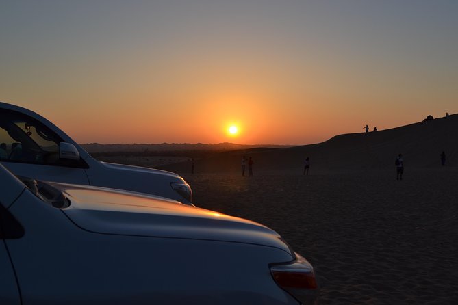 Evening Desert Safari Tours - Three shows close the night