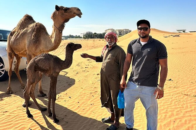 Evening Desert Safari Tours - Optional quad bikes and dune buggies