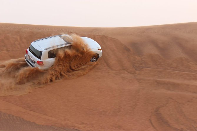 Evening Desert Safari with BBQ Dinner - What the guides add to the day