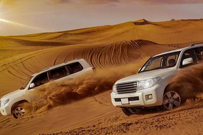 Evening Desert Safari with Bbq Dinner and Entertainment - A camel ride and a short taste of desert customs