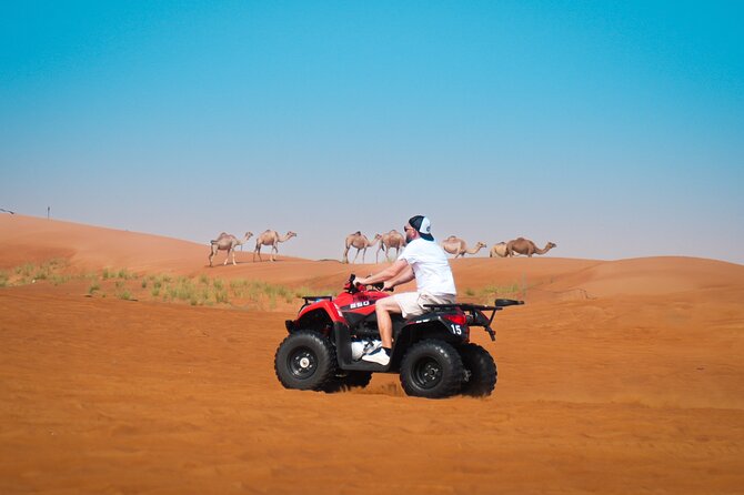 Evening Quad Bike, Desert Safari in Dubai , BBQ Dinner and Shows - Reaching Lahbab’s red dunes from Dubai