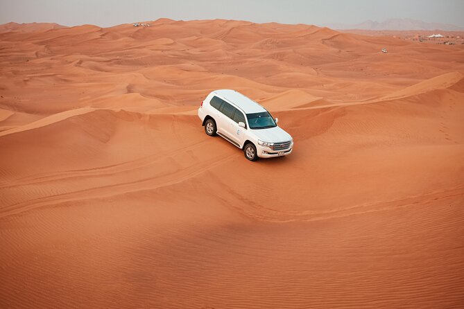 Evening Red Dunes Desert Safari In Dubai - Guides can shape the whole outing