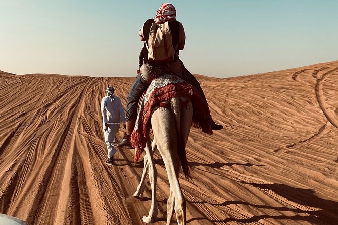 Exclusive Evening Desert Safari - What Makes This Safari Worth Considering