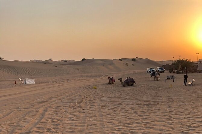 Exhilarating Desert Safari, Including BBQ Dinner from Dubai - How the Timing Works