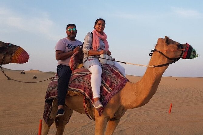 Exhilarating Desert Safari, Including BBQ Dinner from Dubai - Who Will Get the Most From This Safari