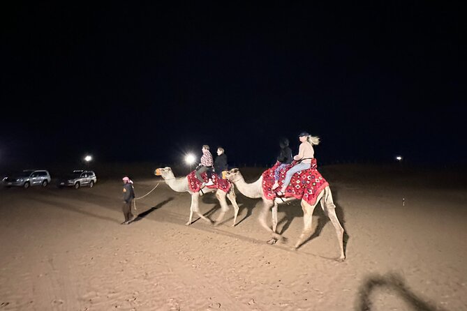 Experience the Ultimate Dubai Red Dunes Desert Safari BBQ Dinner - Who will enjoy this safari most