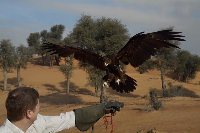 Falcon 1—Private Dubai Falconry Safari - Meeting the falconers and guides
