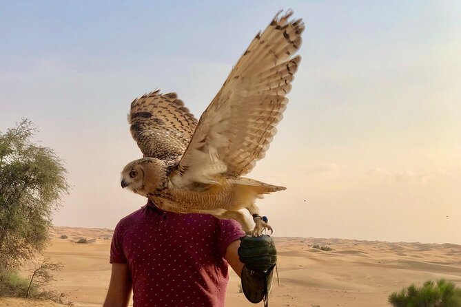 Falcon 1—Private Dubai Falconry Safari - The optional Al Maha breakfast