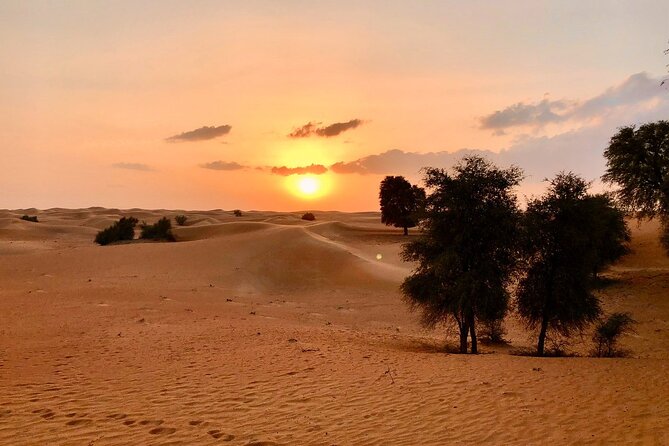 Falcon 1—Private Dubai Falconry Safari - Entering the Dubai Desert Conservation Reserve