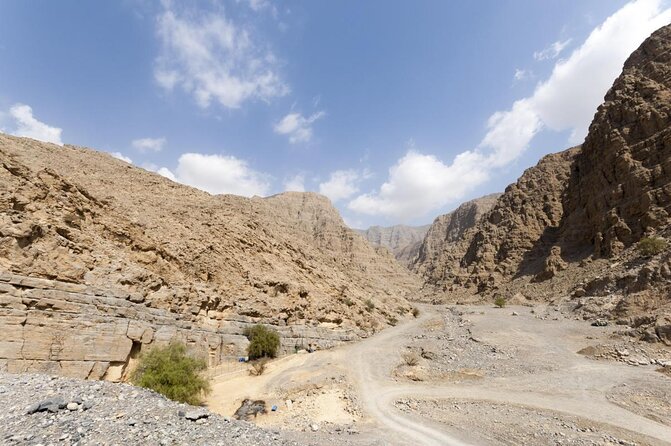 Five Emirates Full Day Tour from Dubai with Hotel Transfers - Sharjah begins with mosques, symbols, and a fish market