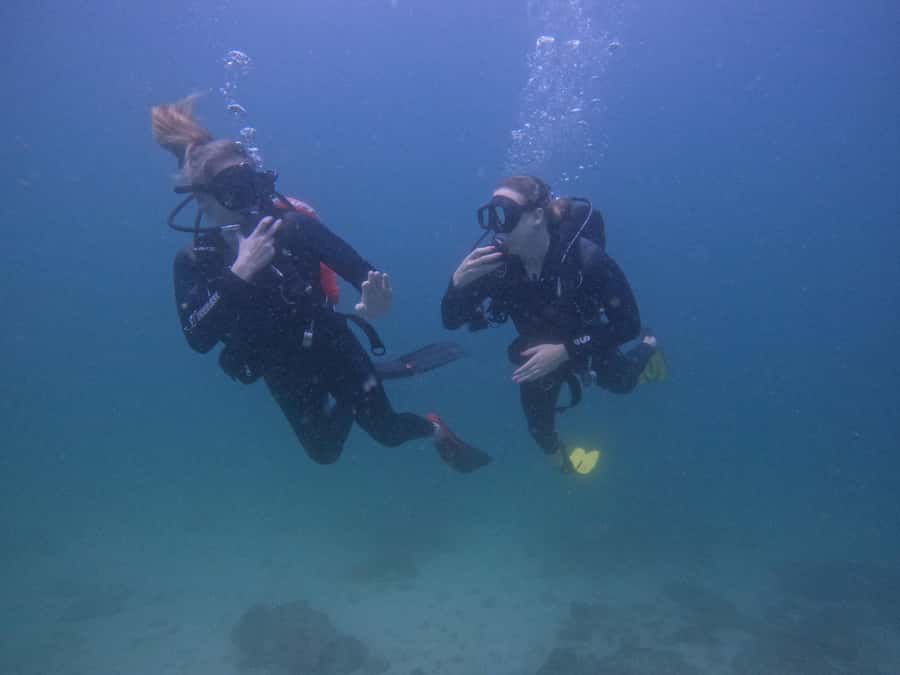 From Dubai: 2 Dives for Certified Divers with BBQ & Transfer - What the $160 price really covers