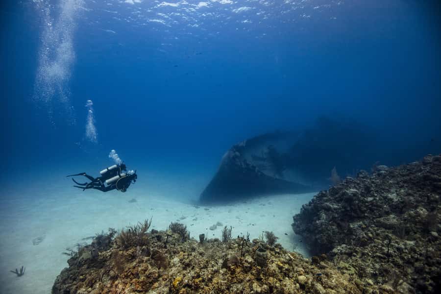 From Dubai: 2 Dives for Certified Divers with BBQ & Transfer - Two one-hour underwater sessions on the East Coast
