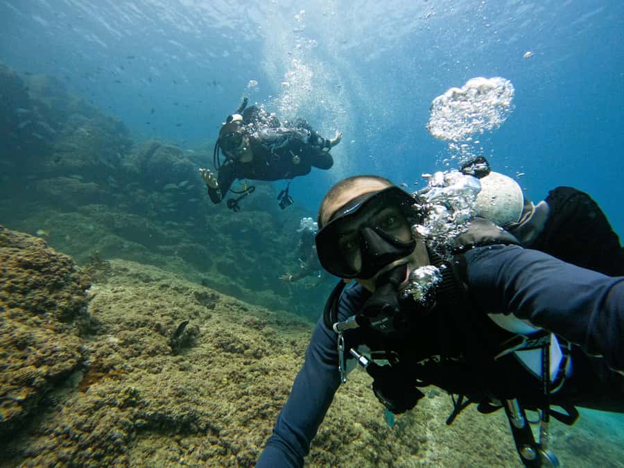 From Dubai: 2 Dives for Certified Divers with BBQ & Transfer - The guide can make or break the underwater time