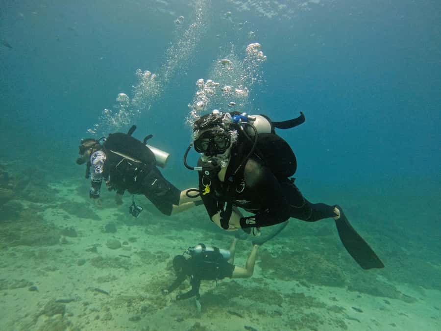 From Dubai: 2 Dives for Certified Divers with BBQ & Transfer - Communication, timing, and cancellation