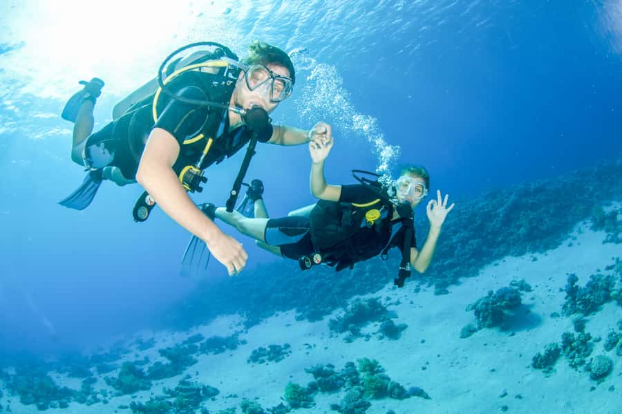 From Dubai: Discovery Scuba Diving & Snorkeling In Fujairah - From Dubai to Dibba, Fujairah