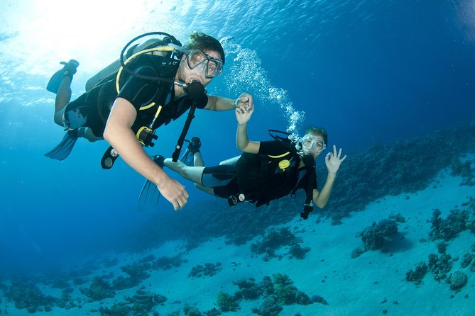 From Dubai: Discovery Scuba Diving & Snorkeling trip in Fujairah - Key points to know before booking