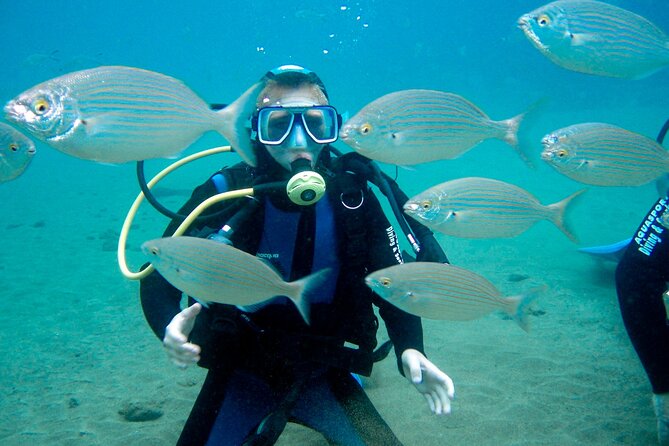 From Dubai: Discovery Scuba Diving & Snorkeling trip in Fujairah - What the boat day includes