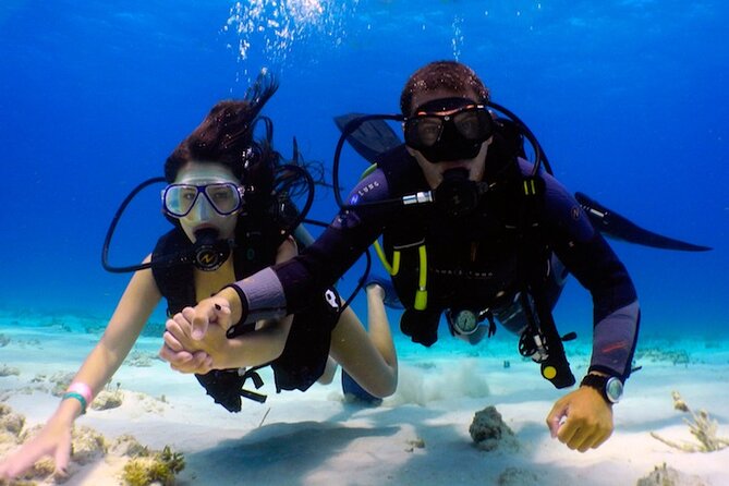 From Dubai: Discovery Scuba Diving & Snorkeling trip in Fujairah - Is $155 a fair price?
