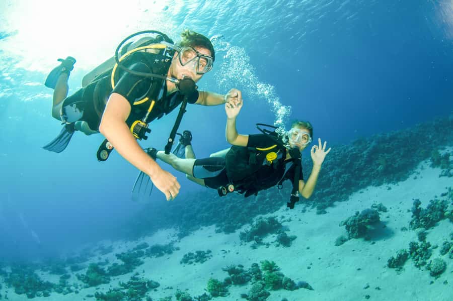 From Dubai: Fujairah Half-Day Scuba Dive and Snorkeling - The early pickup from Dubai