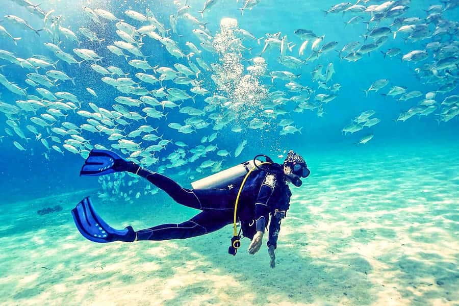 From Dubai: Fujairah Half-Day Scuba Dive and Snorkeling - The boat ride to Fujairah’s reef sites
