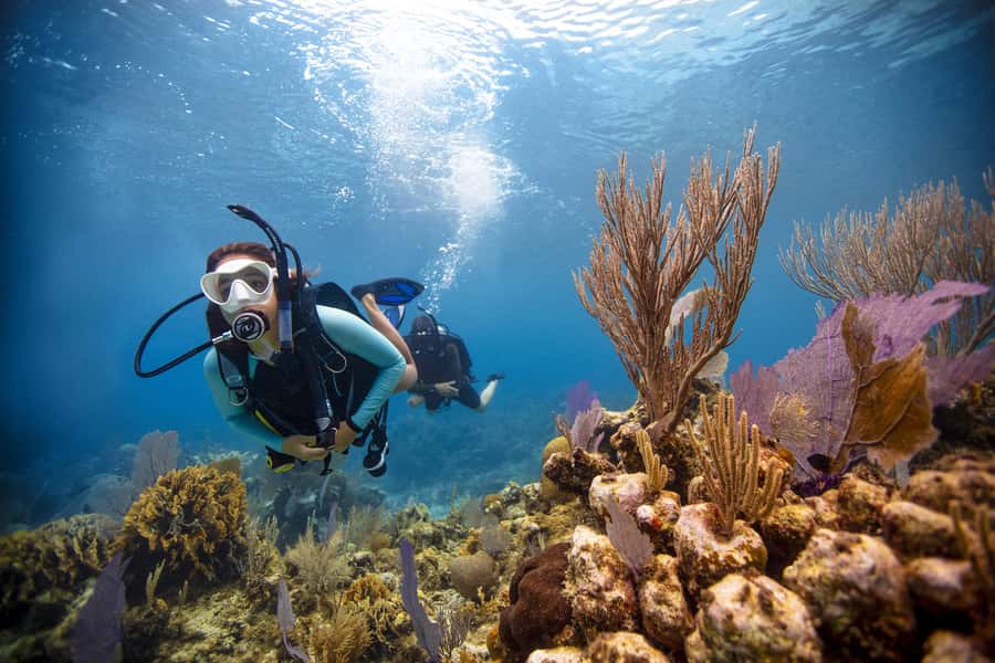 From Dubai: Fujairah Scuba Dive and Snorkeling - Leaving Dubai for Fujairah’s east coast
