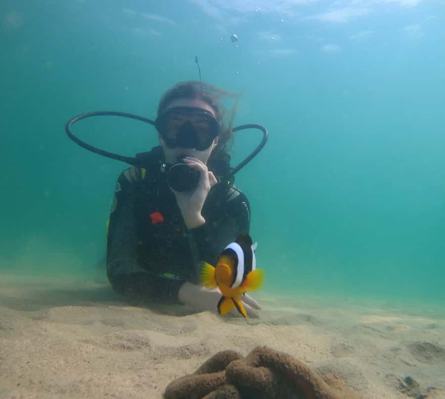 From Dubai: Fujairah Scuba Dive and Snorkeling - Two guided underwater sessions