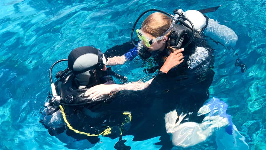 From Dubai: Fujairah Scuba Dive and Snorkeling - What the eight-hour schedule really feels like
