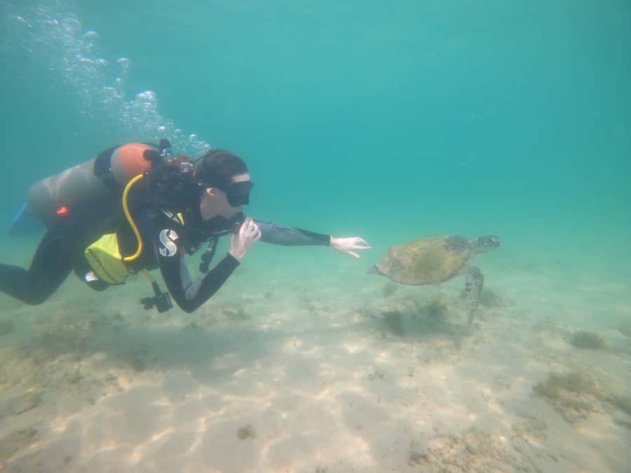 From Dubai: Fujairah Scuba Dive and Snorkeling - Practical preparation for the morning
