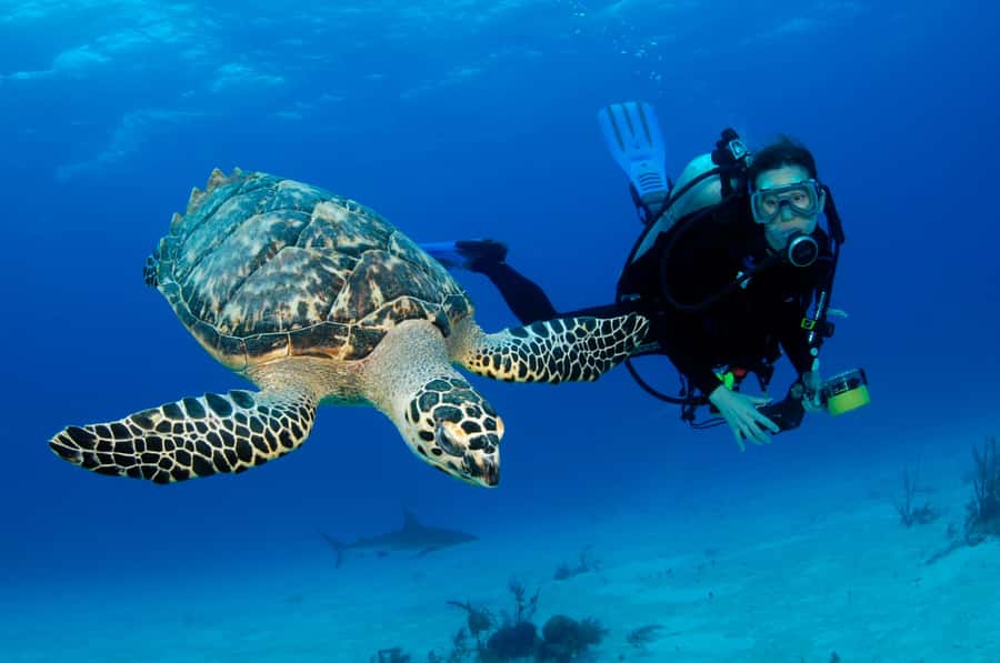 From Dubai: Fujairah Scuba Dive and Snorkeling - Getting fitted with full scuba equipment