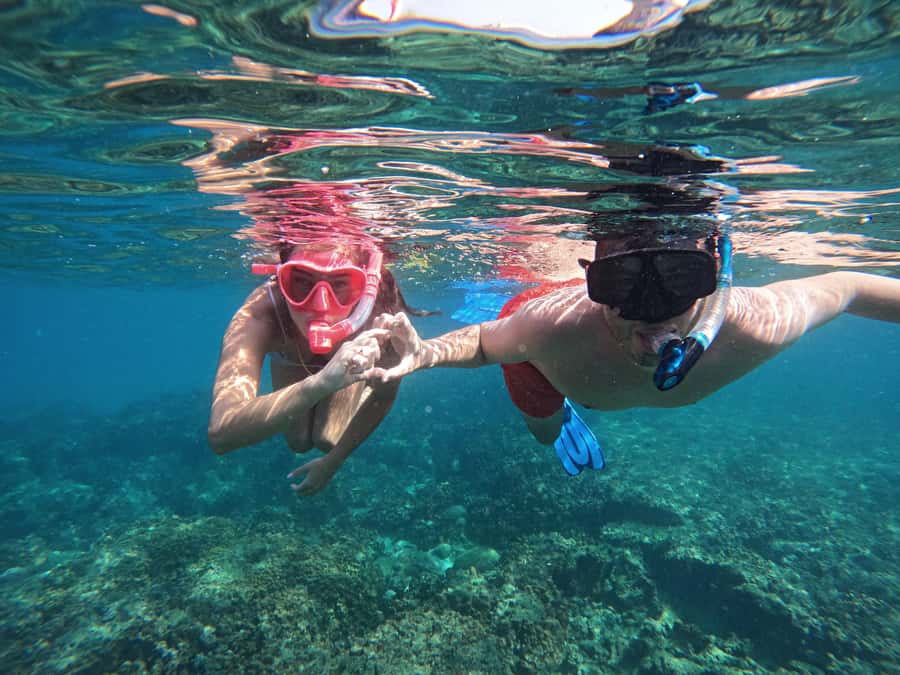From Dubai: Fujairah Snorkeling with Turtles, Transfer & BBQ - Why the long road from Dubai can be worth it