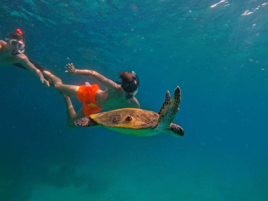 From Dubai: Fujairah Snorkeling with Turtles, Transfer & BBQ - Arriving at the snorkeling center