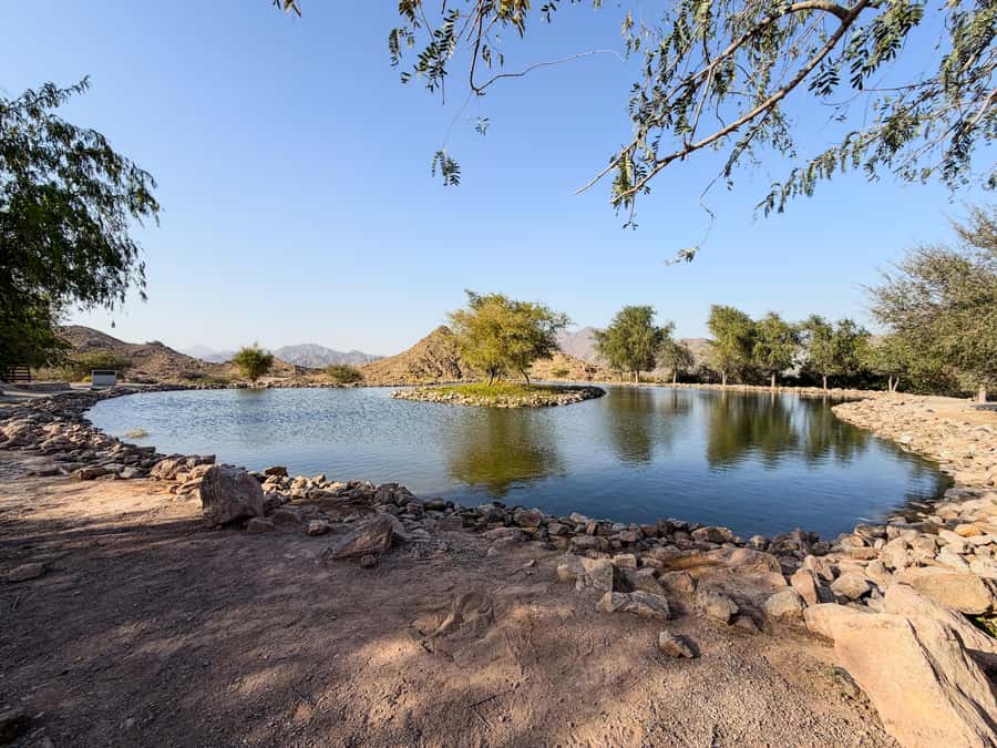 From Dubai: Hatta Sightseeing Tour with kayaking - Lunch in Hatta, with room for local flavor