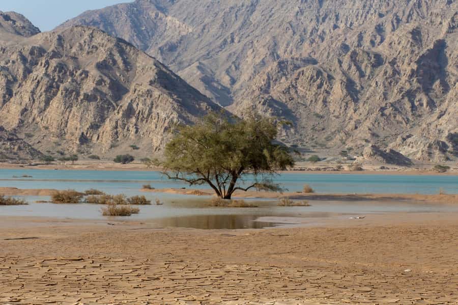 From Dubai: Jabel Jais High Mountain Tour with Transfers - Sunrise, heat, and what to bring