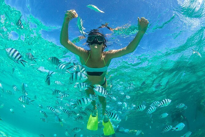 From Dubai: Snorkeling trip in Fujairah - Key Things to Know Before You Go