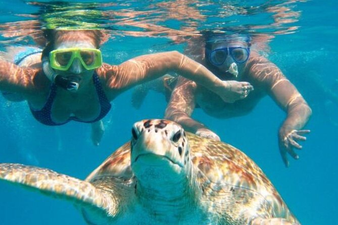 From Dubai: Snorkeling trip in Fujairah - Boarding the Boat and Getting Oriented