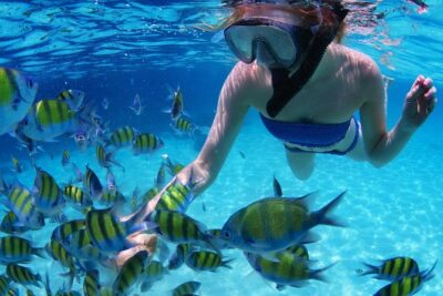 Snorkeling trip in Fujairah